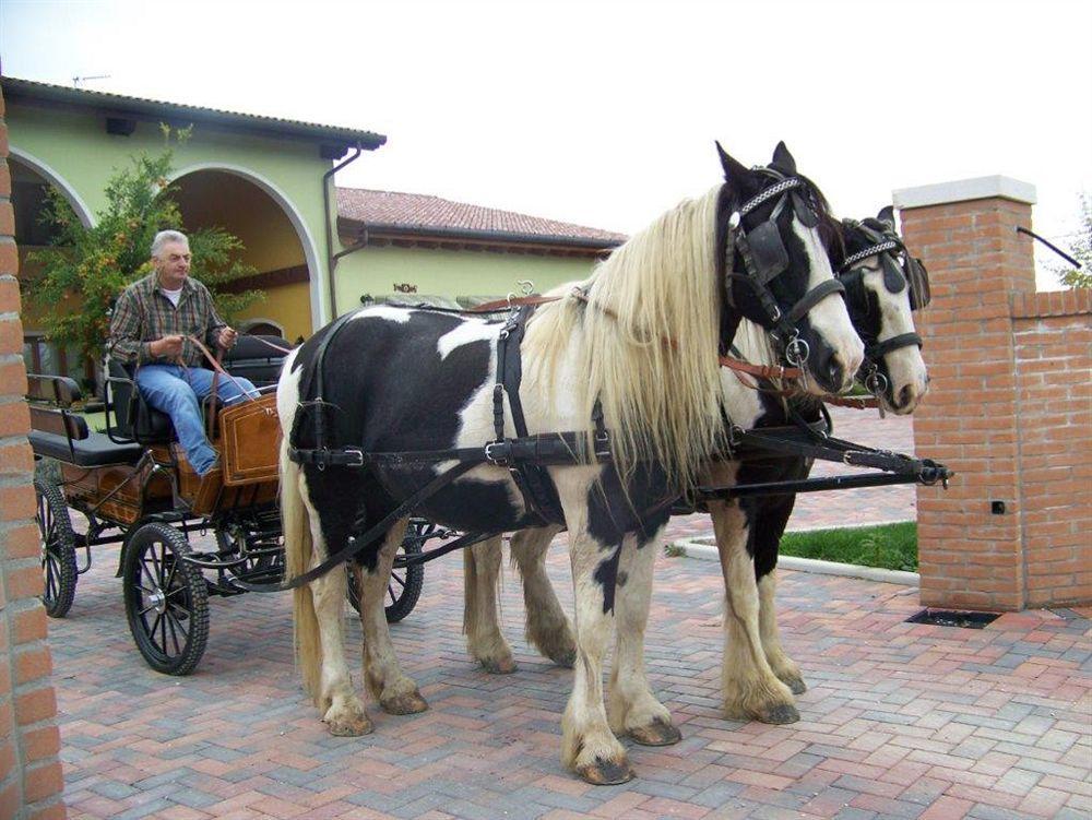 Agriturismo Nonna Rina San Liberale Buitenkant foto
