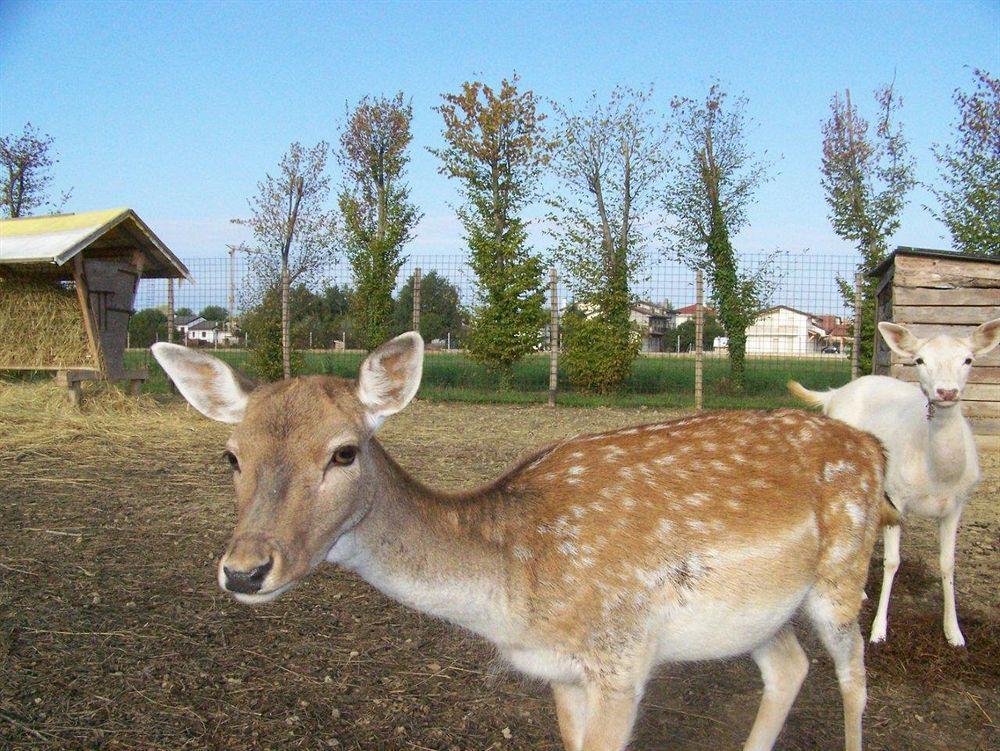 Agriturismo Nonna Rina San Liberale Buitenkant foto